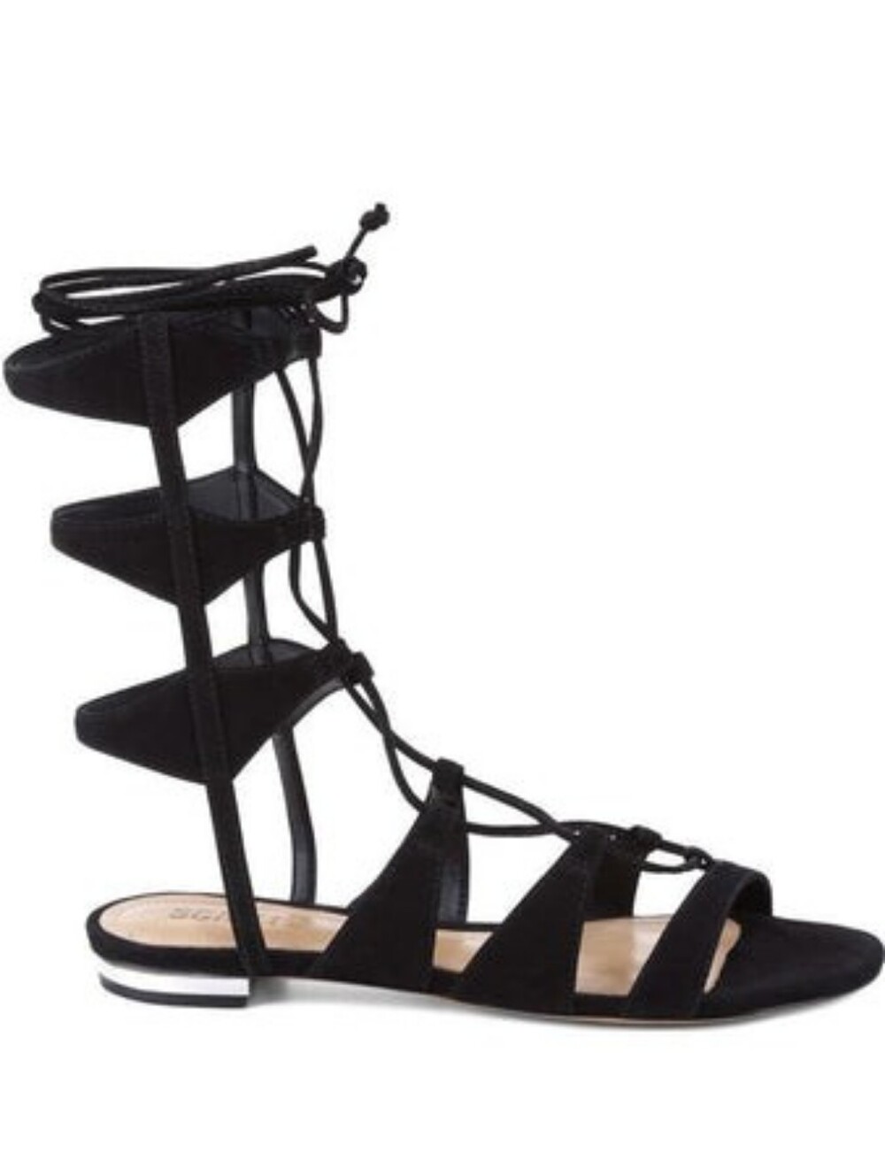 Schutz Erlina Lace-Up Gladiator Sandals in black suede.